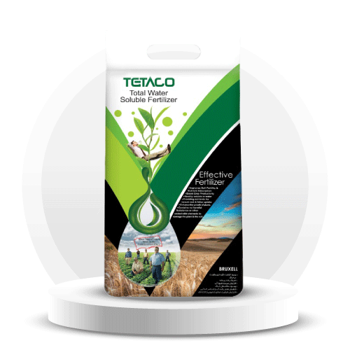 آیکون برند بروکسل آباد بایر