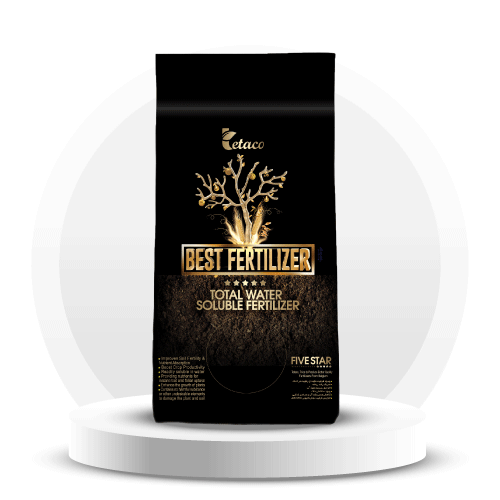 آیکون برند فایواستار آباد بایر