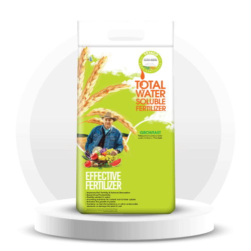 آیکون برند گروفست آباد بایر