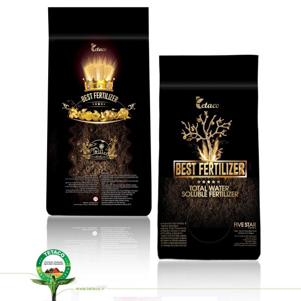 Five star 3 2 600x600