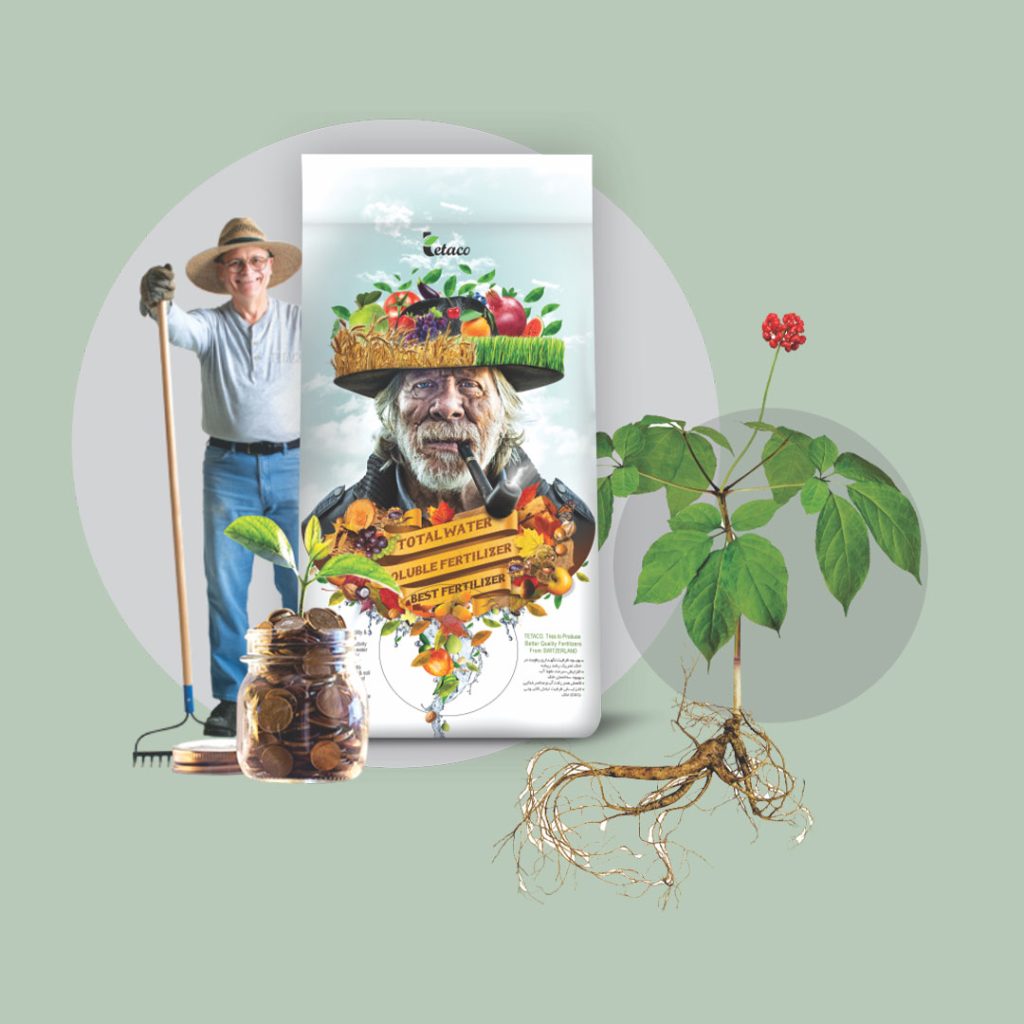 کود NPK 10-50-10 آباد بایر