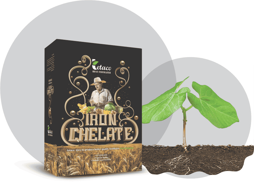 iron-chelate-fertilizer-fe-10-edta- کود آبادبایر