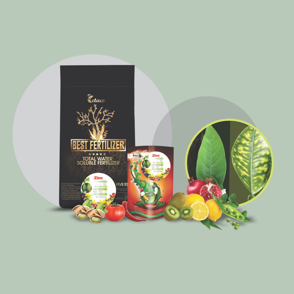 کلات روی 17درصد کود آباد بایر