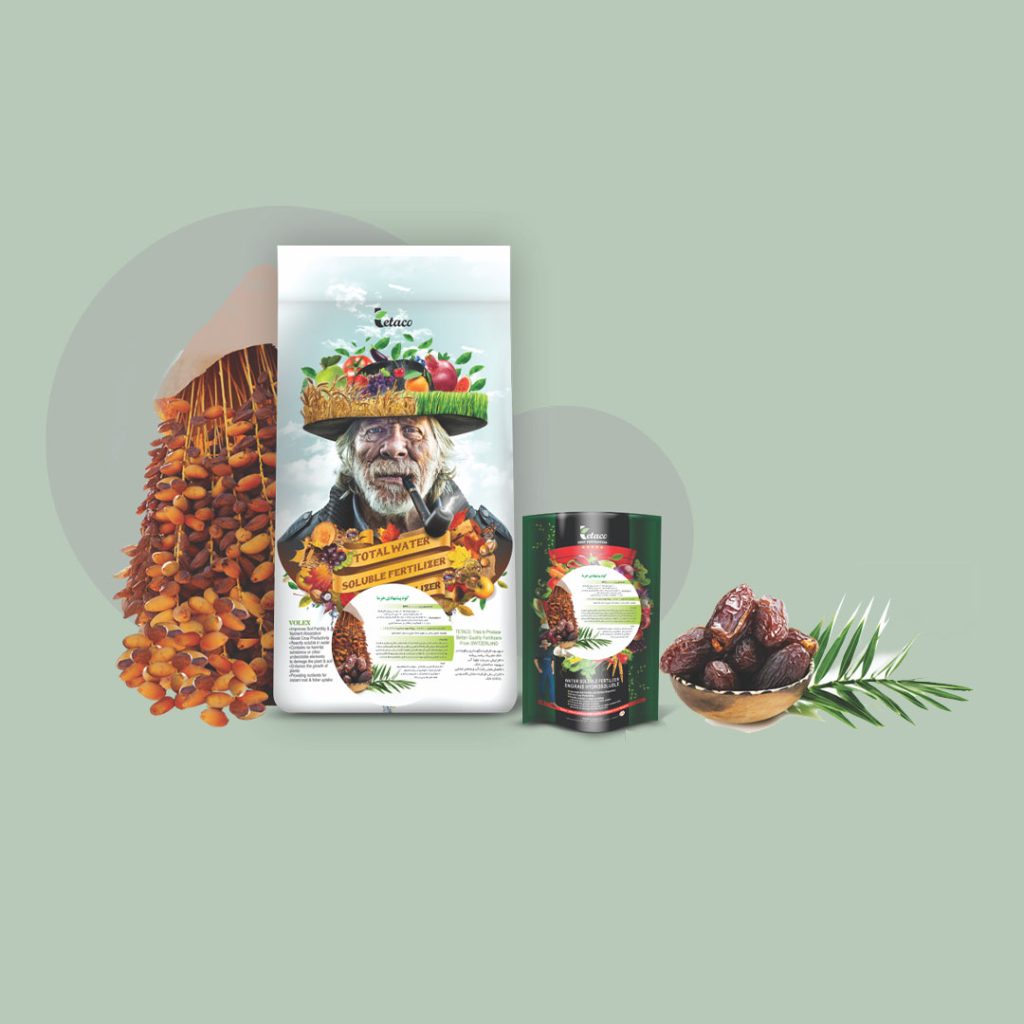 کود پیشنهادی خرما آباد بایر: بهترین گزینه برای تغذیه نخلهای خرما آباد بایر