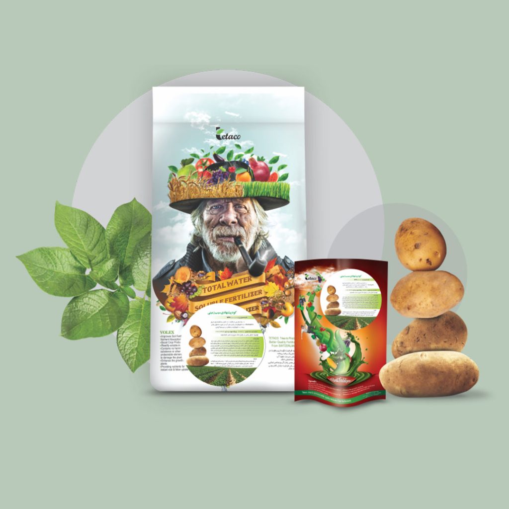 کود پیشنهادی سیب زمینی آباد بایر