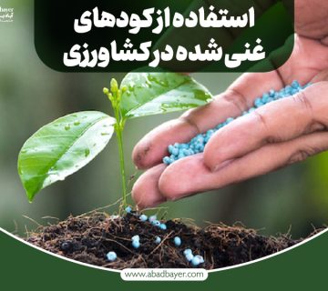 کلات آهن غنی شده