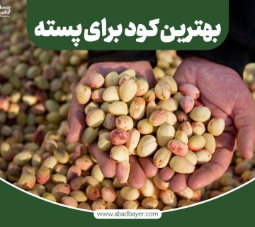 بهترین کود برای پسته