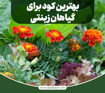 بهترین کود برای گیاهان زینتی