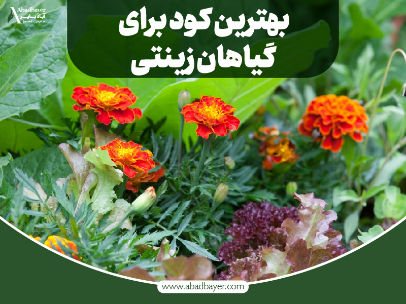 بهترین کود برای گیاهان زینتی