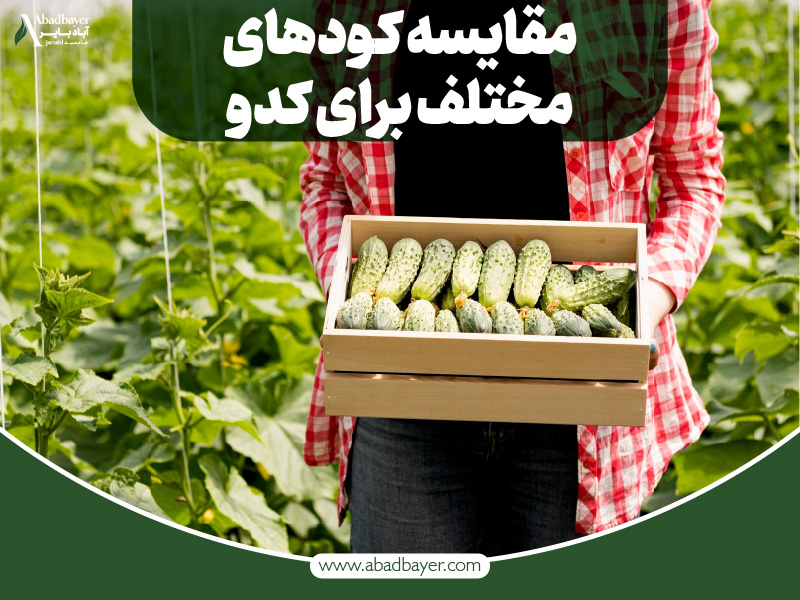 مقایسه کود های مختلف برای کدو
