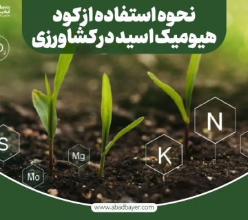 نحوه استفاده از کود هیومیک اسید
