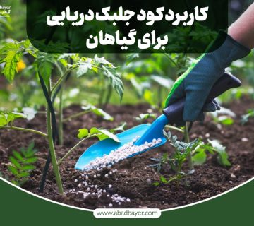 کاربرد کود جلبک دریایی برای گیاهان