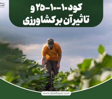 کود 25 10 10