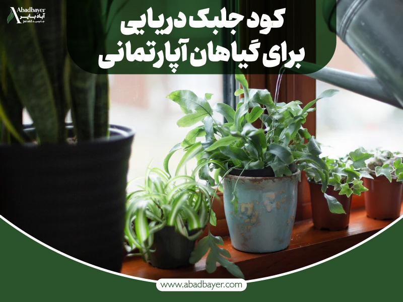 کود جلبک دریایی برای گیاهان آپارتمانی
