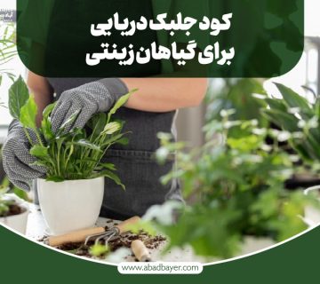 کود جلبک دریایی