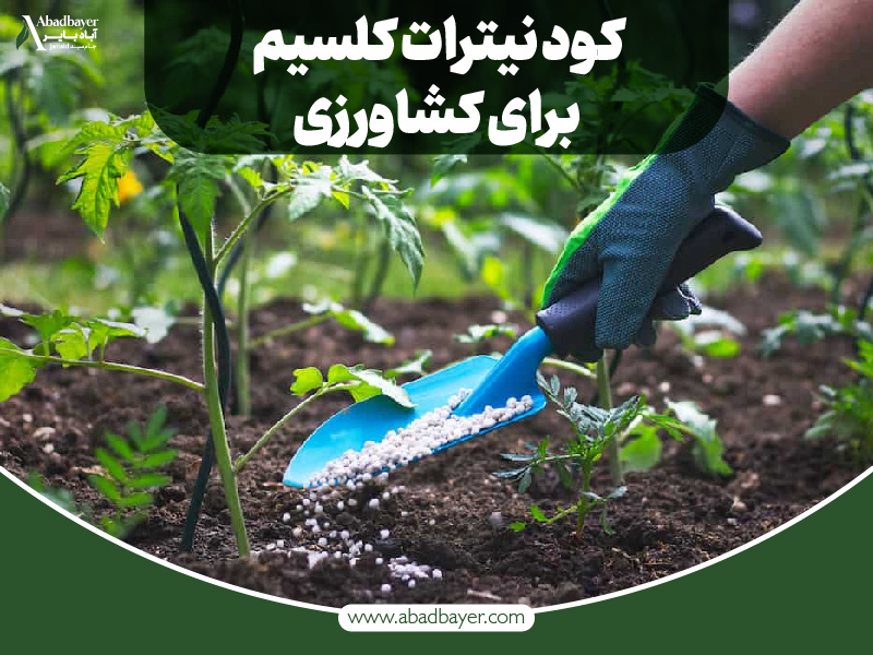 نیترات کلسیم