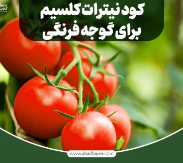 کود نیترات کلسیم برای گوجه فرنگی