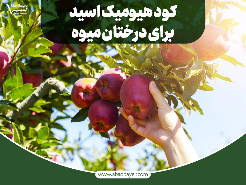 کود هیومیک اسید برای درختان میوه