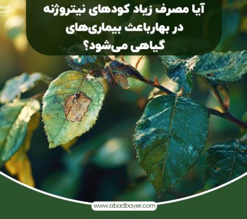 آیا مصرف زیاد کود ازته در بهار باعث بیماری های گیاهی می شود