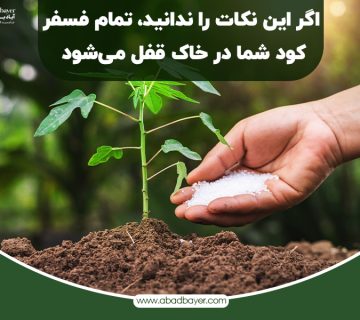 اگر این نکات را ندانید تمام فسفر کود شما در خاک قفل می شود