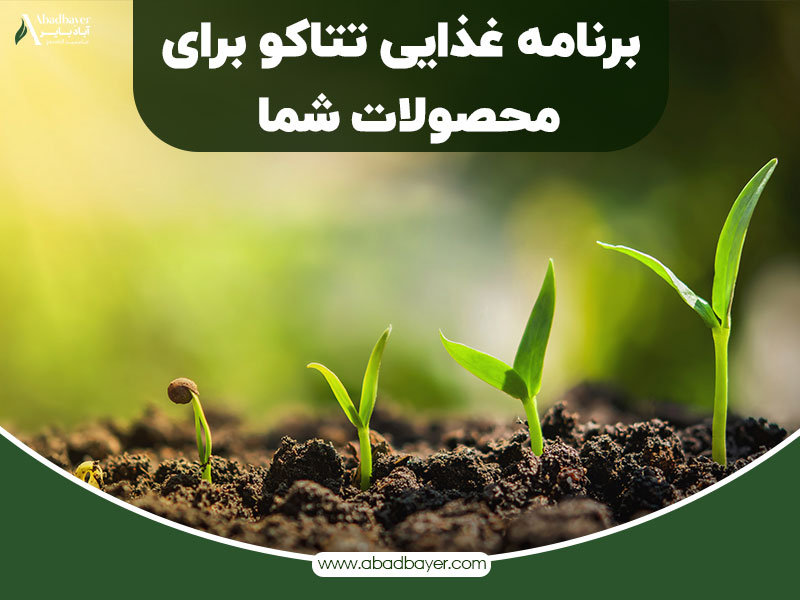برنامه غذایی تتاکو برای محصولات شما