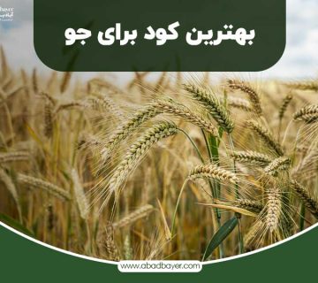 بهترین کود برای جو