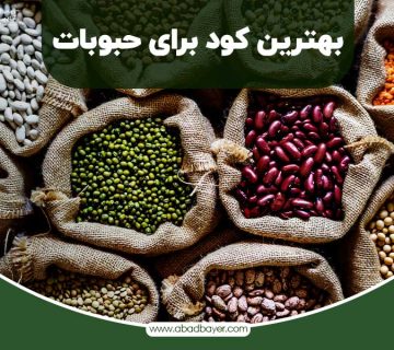 بهترین کود برای حبوبات