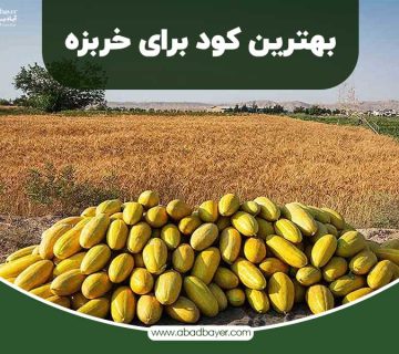 بهترین کود برای خربزه