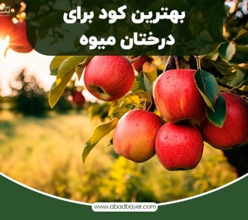 بهترین کود برای درختان میوه