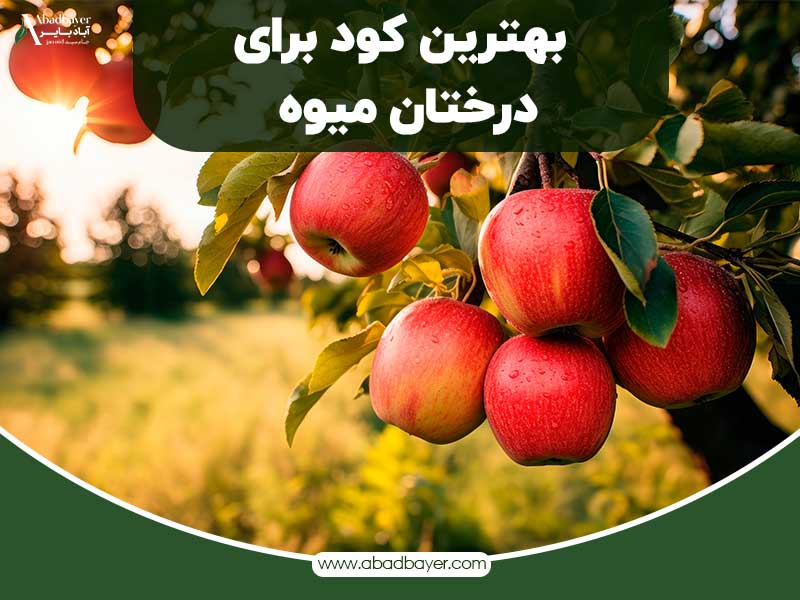 بهترین کود برای درختان میوه