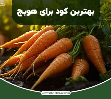 بهترین کود برای هویج