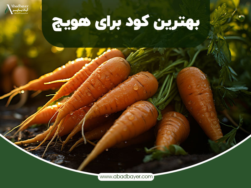 بهترین کود برای هویج