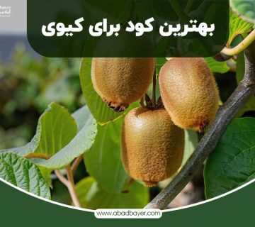بهترین کود برای کیوی