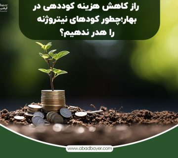 راز کاهش هزینه کوددهی در بهار چطور کود های نیتروژنه را هدر ندهیم