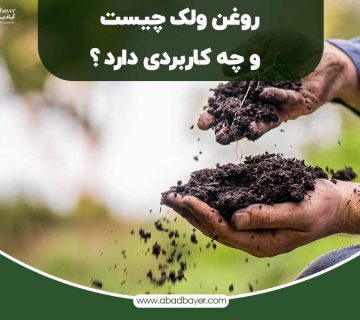 روغن ولک چیست و چه کاربردی داره
