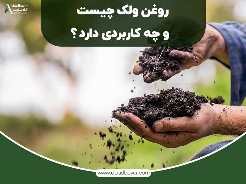 روغن ولک چیست و چه کاربردی داره