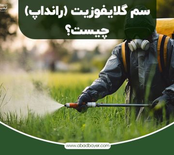 سم گلایفوزیت رانداپ چیست