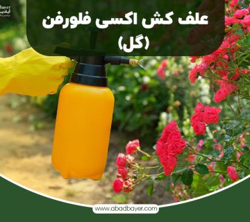 علف کش اکسی فلوفن گل