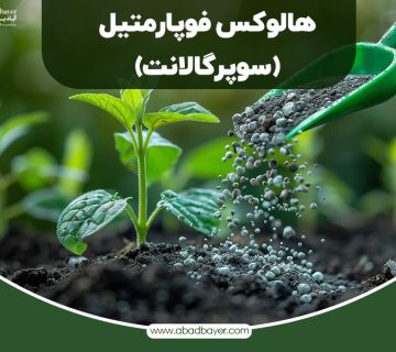 هالوکس فورپامتیل سوپر گالانت