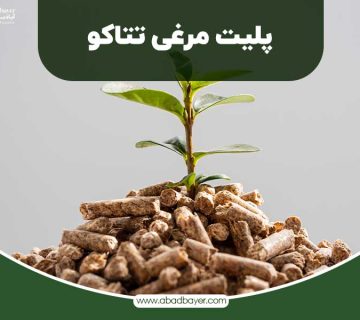 پلیت مرغی تتاکو