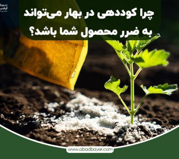 چرا کوددهی بهاره میتواند به ضرر محصول شما باشد؟