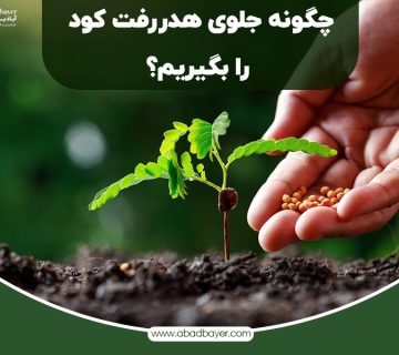 چگونه جلوی هدر رفتن کود را بگیریم
