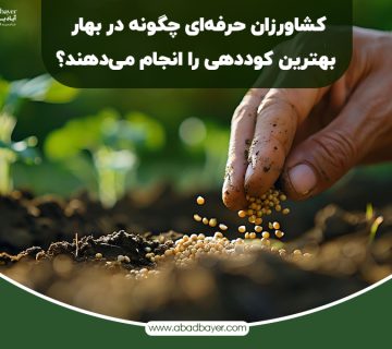 کشاورز حرفه ای چگونه در بهار بهترین کوددهی را انجام می دهند