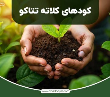 کود های کلاته تتاکو