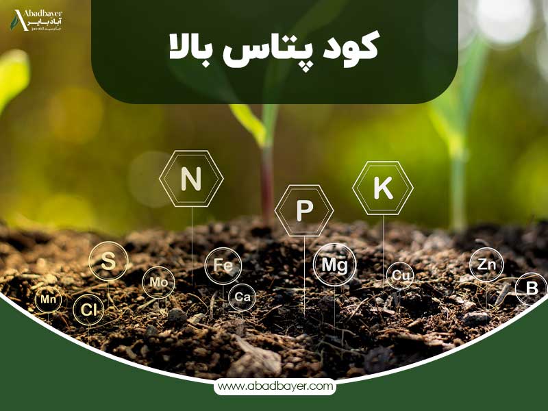 کود پتاس بالا