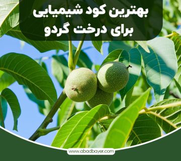 بهترین کود شیمیایی برای درخت گردو