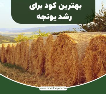 بهترین کود یونجه