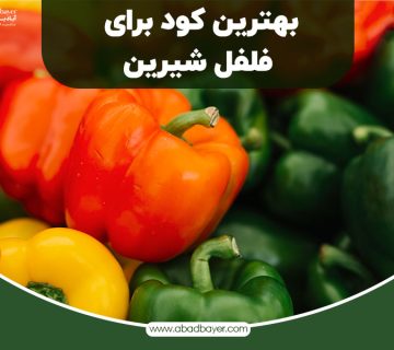 بهترین کودبرای فلفل شیرین