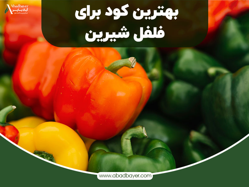 بهترین کودبرای فلفل شیرین