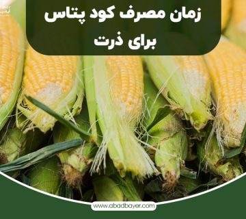 زمان مصرف کود پتاس برای ذرت